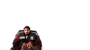 boxersdebordeaux sport celebration goal hockey Sticker