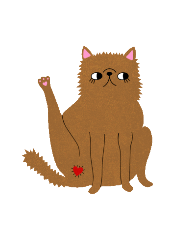 CzuleStudio giphyupload love cat heart Sticker