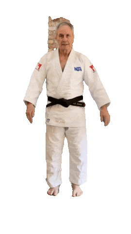 Martial Arts Respect Sticker by NA Effective Fighting