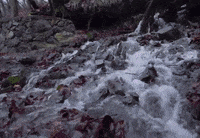 Bolu GIF by TRT