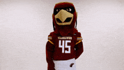 Ace Ulm GIF by University of Louisiana Monroe