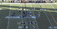 marshawn lynch hair GIF