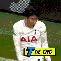 GIF by Tottenham Hotspur