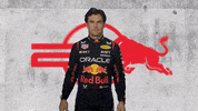 Red Bull Sport GIF by Oracle Red Bull Racing