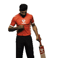 Match Cricket Sticker by Dream11