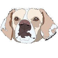 WalksWithAlex wink winking dog walking smiling dog Sticker