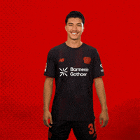 Bayer 04 Bundesliga GIF by Bayer 04 Leverkusen