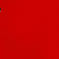 Bayer 04 Bundesliga GIF by Bayer 04 Leverkusen