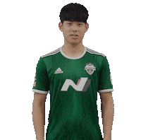 jeonbuk1994 jeonbuk 전북현대 전북 jbfc Sticker