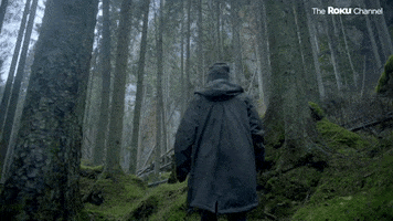 Survive Sophie Turner GIF by The Roku Channel