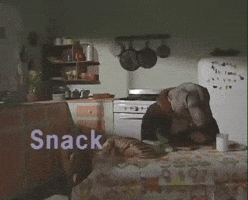 Looking Good William Wegman GIF by Jason Clarke