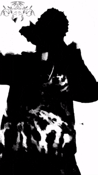 Dance Dancing GIF by Raja The Tiger