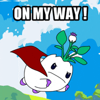 Flying Lets Go GIF by Magic Eden