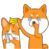 Corgi Shiba Sticker