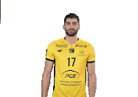 Power Volleyball Sticker by PGE GiEK Skra Bełchatów