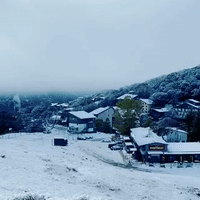 'Delight' as Victoria Mountain Resort Wakes to Early Snow