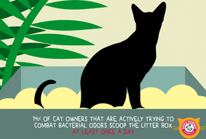 cat GIF by ARM & HAMMER™ Clump & Seal™ MicroGuard™