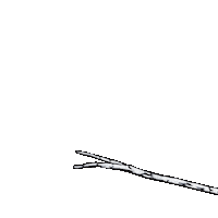 Bird Chickadee Sticker