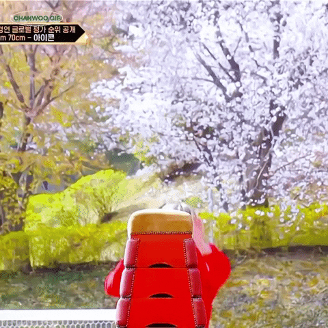 Ikon Chan GIF