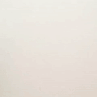 AlyssaSpatola art cute animation animals GIF