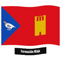 Flag Spain Sticker by Formación Ninja