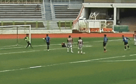 qwerpoiu22ppop giphyupload GIF