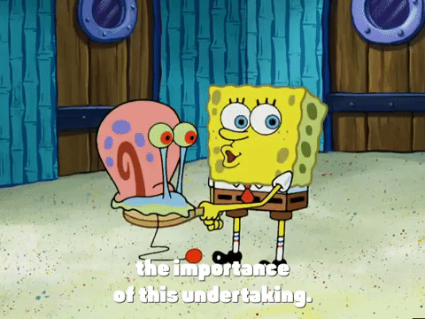 season 4 episode 3 GIF by SpongeBob SquarePants