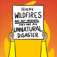 Climate Crisis Fire GIF by INTO ACTION