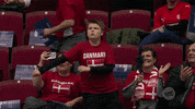 Denmark Den GIF by EHF