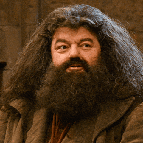 Winning Warner Bros GIF by Harry Potter