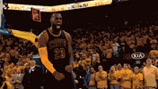 Balling Lebron James GIF
