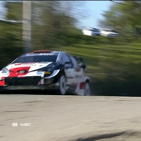 Driving Ford GIF by FIA World Rally Championship
