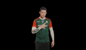 All-Ireland Fallon GIF by AIB