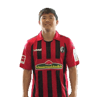 sc freiburg thumbs up Sticker by SCF