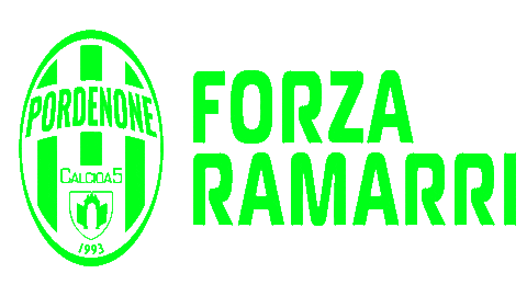 pordenonec5 giphyupload pordenone forzapnc5 wearepnc5 Sticker