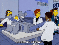 season 6 GIF