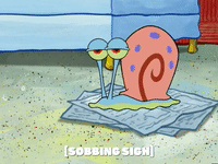 season 5 blackened sponge GIF by SpongeBob SquarePants