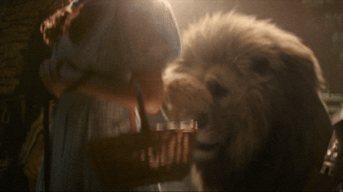 Wizard Of Oz Lion GIF by Wicked