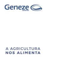Boatarde Sticker by GENEZESEMENTES