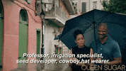 queen sugar hollywood GIF by OWN: Oprah Winfrey Network
