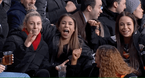 Happy Fans GIF by Wests Tigers