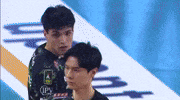 archivebottolo volleyball italia volley pallavolo GIF