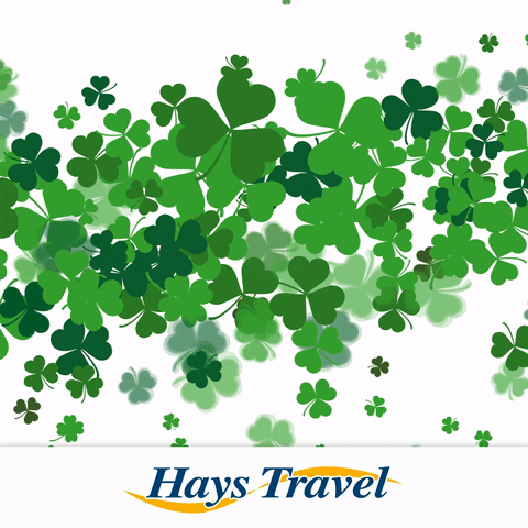St Patricks Day Beer GIF by Hays Travel