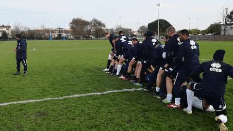 Agen_Rugby giphygifmaker top14 sua agen rugby GIF