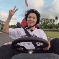 Are You Sure Go Karting GIF