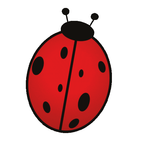 Insect Ladybug Sticker by Insectacorp S.A.