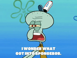 season 6 GIF by SpongeBob SquarePants