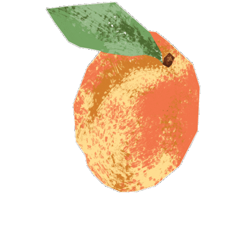Apricot Sticker by Evoolution