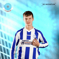 Voetbalvereniging_Scherpenzeel goal win score voetbal GIF