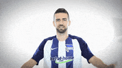 power mehr GIF by Hertha BSC